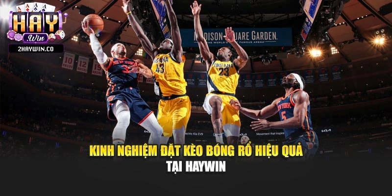 Kinh nghiệm đặt kèo bóng rổ hiệu quả tại Haywin