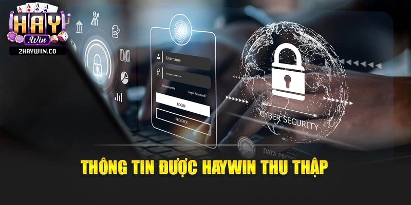 Thông tin được Haywin thu thập